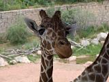 Cheyenne Mountain Zoo